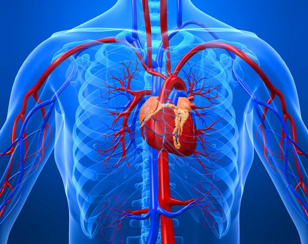 Диагностика и лечение неотложных состояний: тромбоэмболия легочной артерии